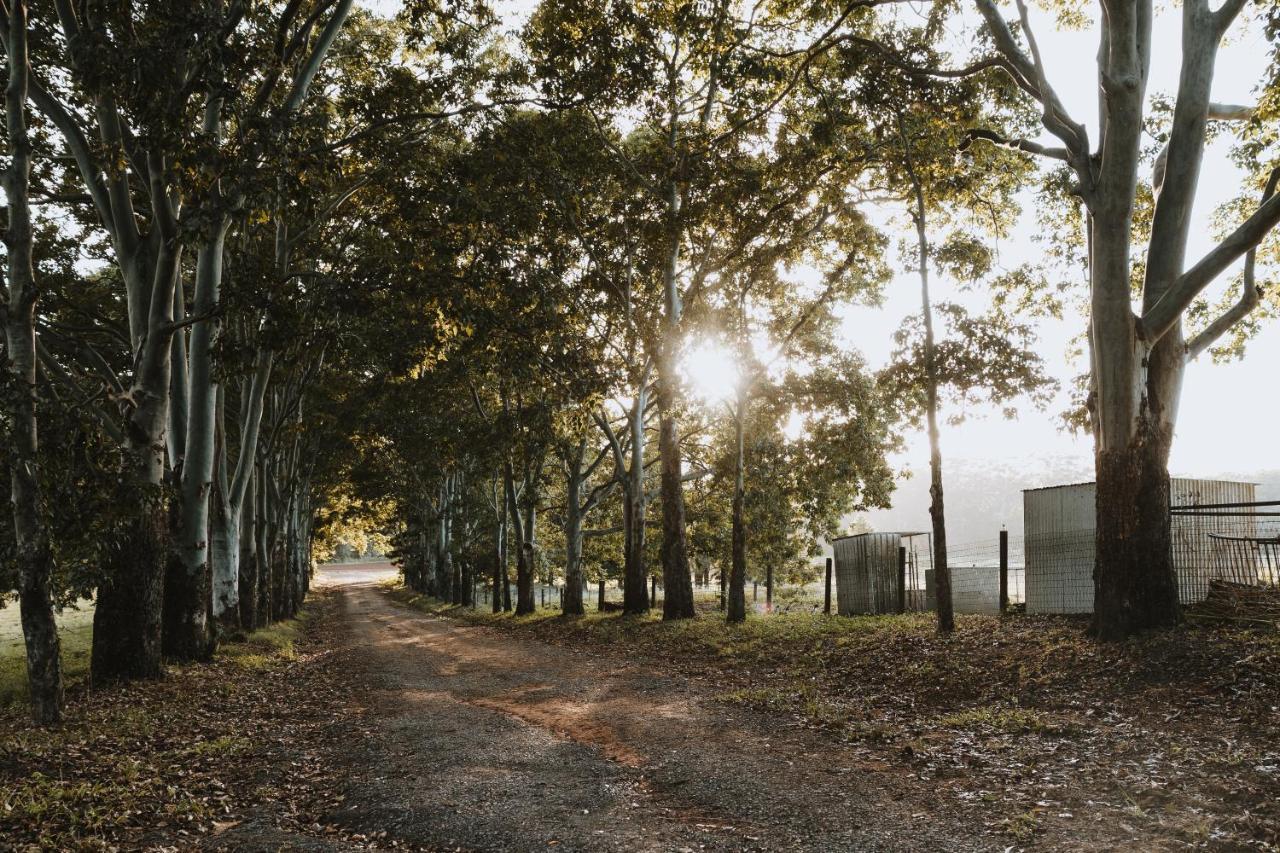 Blackwattle Farm เบียร์วาห์ ภายนอก รูปภาพ