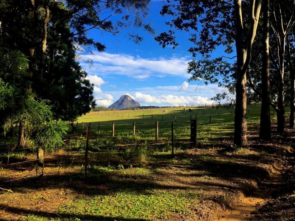 Blackwattle Farm เบียร์วาห์ ห้อง รูปภาพ