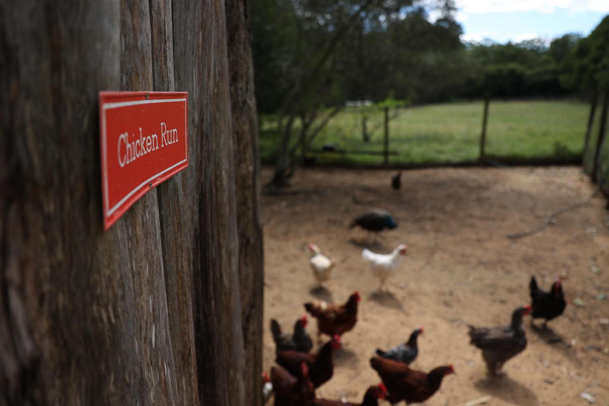 Blackwattle Farm เบียร์วาห์ ภายนอก รูปภาพ