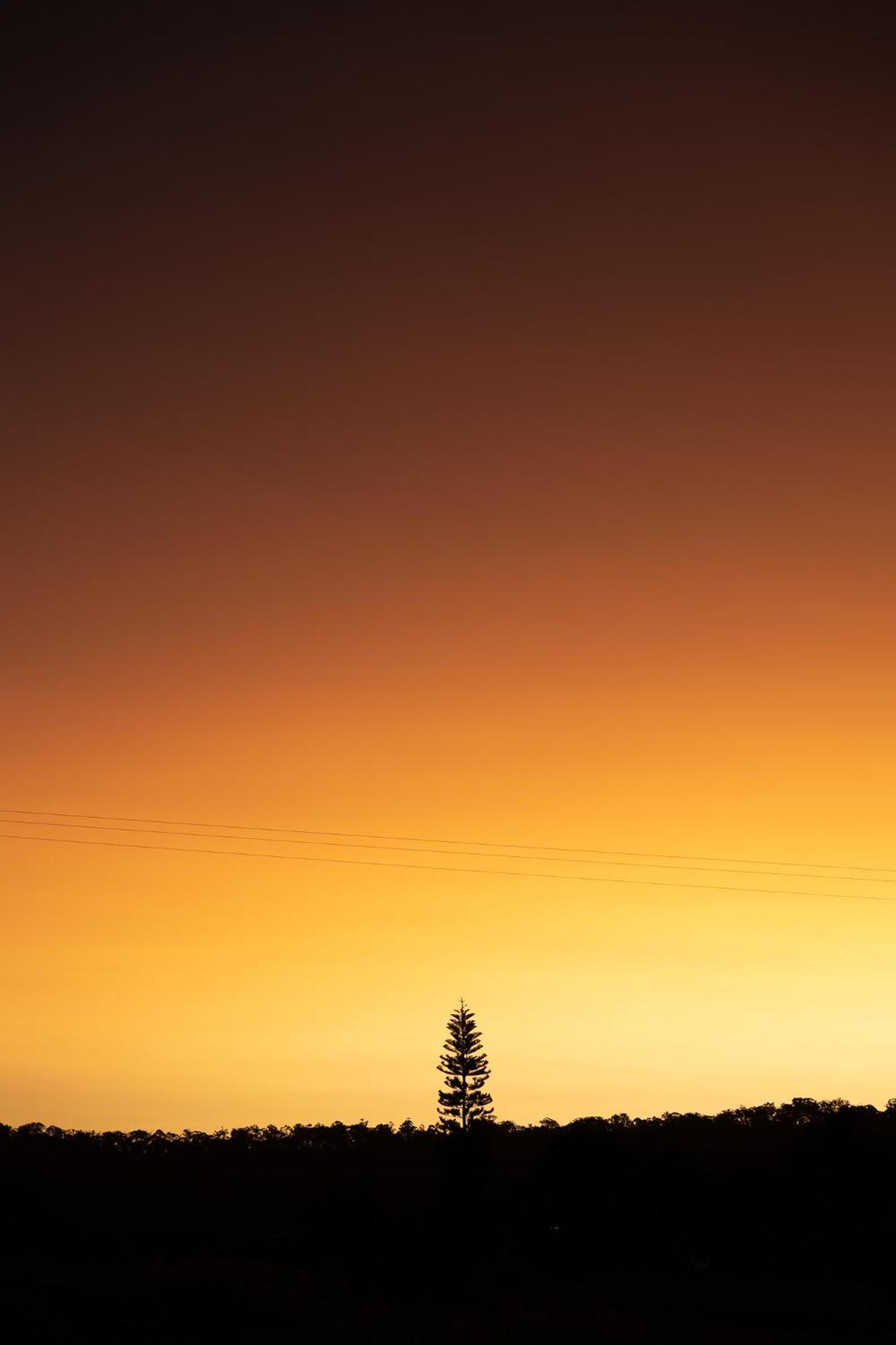 Blackwattle Farm เบียร์วาห์ ภายนอก รูปภาพ
