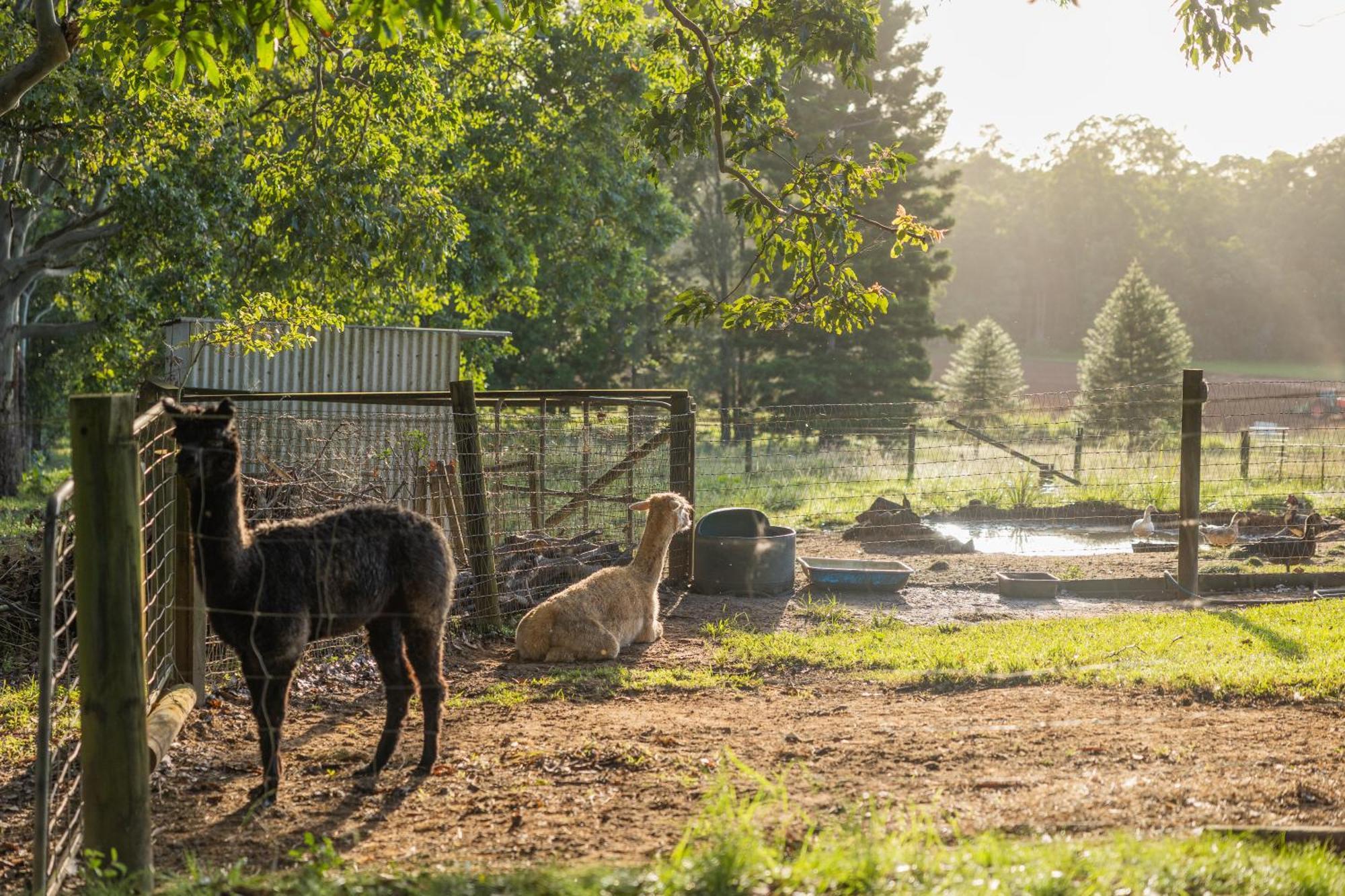 Blackwattle Farm เบียร์วาห์ ภายนอก รูปภาพ