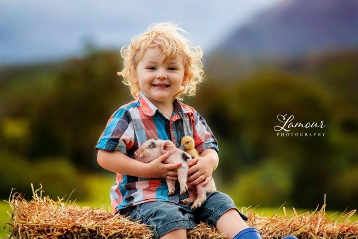 Blackwattle Farm เบียร์วาห์ ภายนอก รูปภาพ